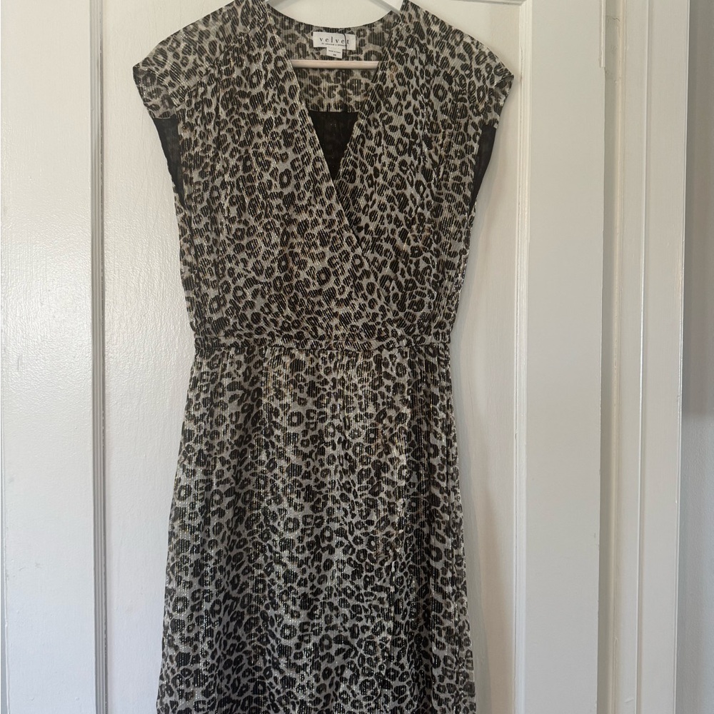 Velvet Leopard Print Dress